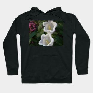 White Lily Of The Valley Photo Print And Others Hoodie